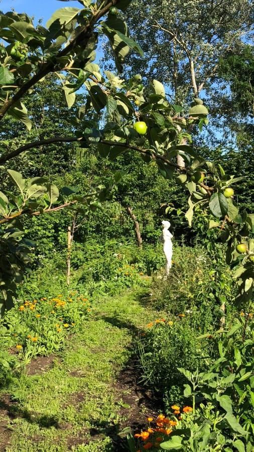 Het Kunstenaarshuis Kamperland Kültér fotó