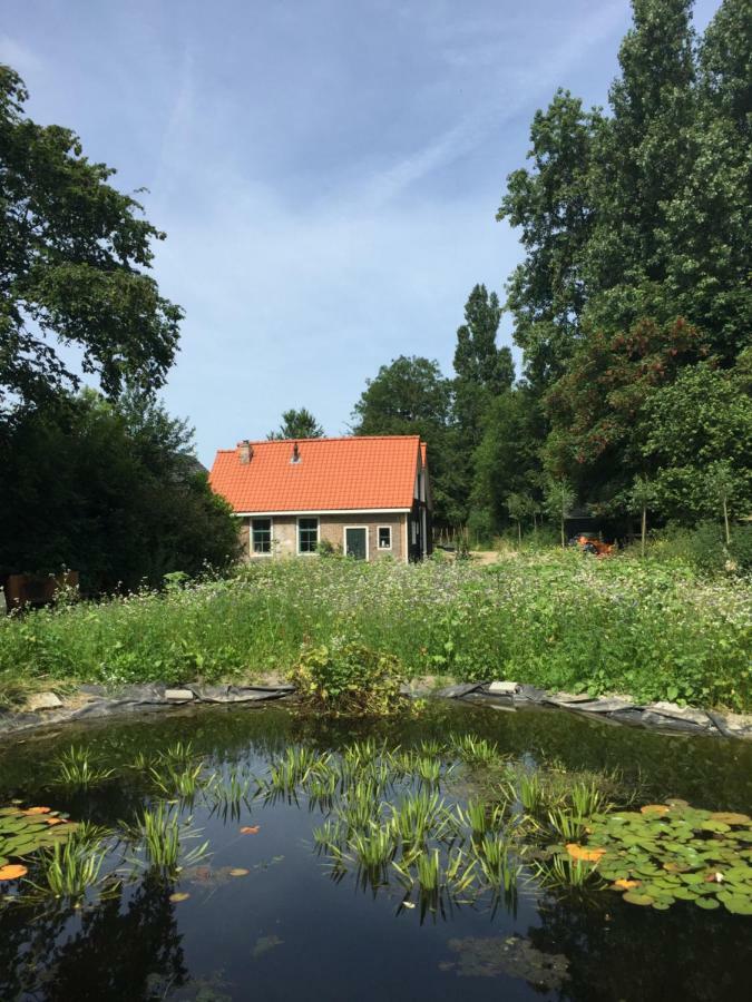 Het Kunstenaarshuis Kamperland Kültér fotó